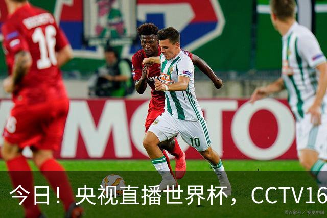 今日！央视直播世界杯，CCTV16转中超，网络转大连鲲城+可为+U17中国男篮+F1等